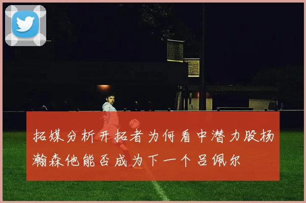 拓媒分析开拓者为何看中潜力股杨瀚森他能否成为下一个吕佩尔